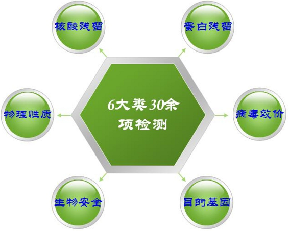 6大类30余项检测.png